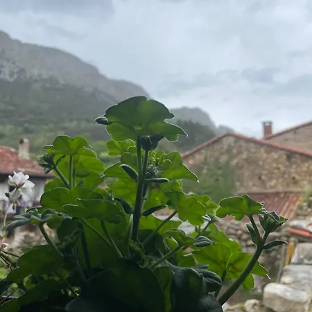 Chalet Casita Tanea Montana Y Cerca Del Mar En Cantabria *