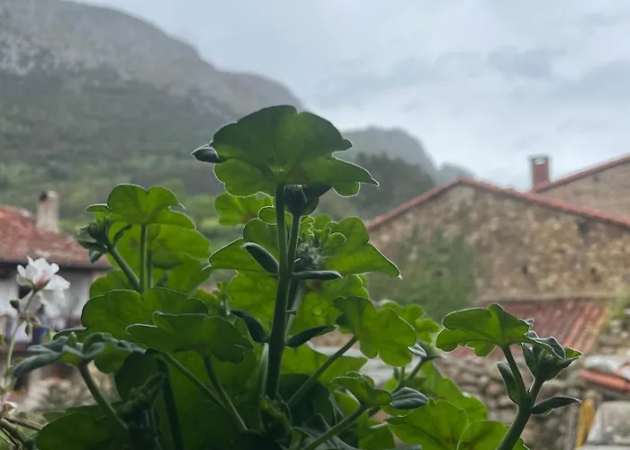 Chalet Casita Tanea Montana Y Cerca Del Mar En Cantabria *