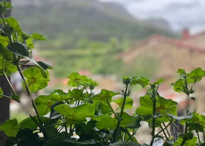 Chalet Casita Tanea Montana Y Cerca Del Mar En Cantabria
